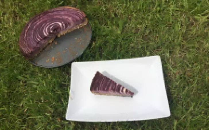 Kefírový dort s borůvkami ( redukční)