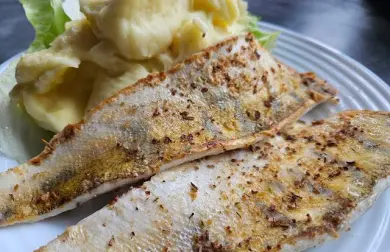 Zubáč filet s citrónovým korením