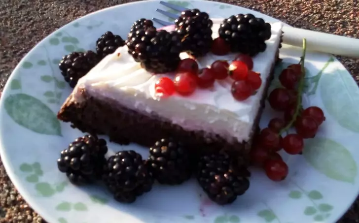 KOLÁČ Z ČERVENÉ ŘEPY - LC