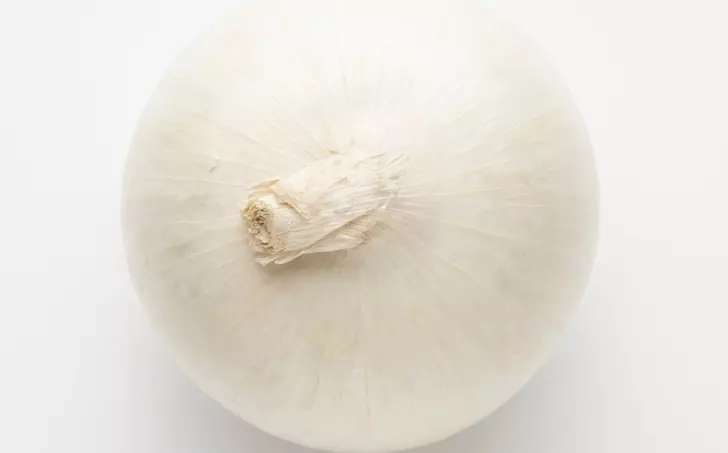 Cibule bílá