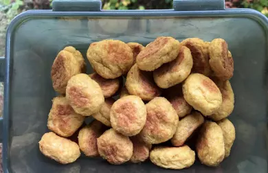 Celerové nočky - LC