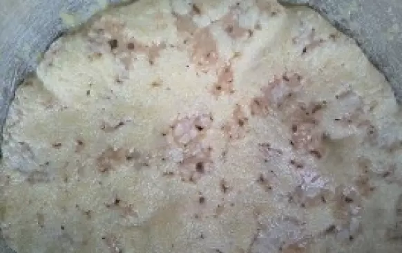 Rozmixujte kešu oříšky najemno, přidejte vlažnou smetanu, droždí a 1PL Xylitolu a nechte na teplém místě cca 30 - 45 minut kvasit. Pokud kvásek špatně kvasí dejte nechte ještě chvíli kvasit, dokud se kvásek hezky nezvedá.