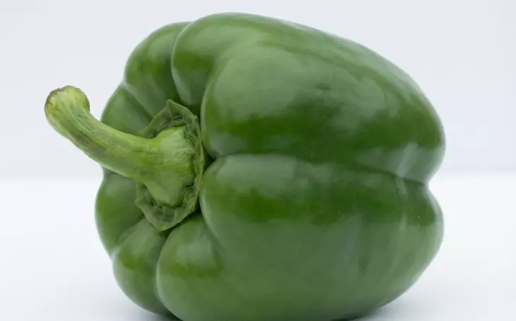 Zelená paprika