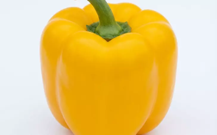 Žlutá paprika