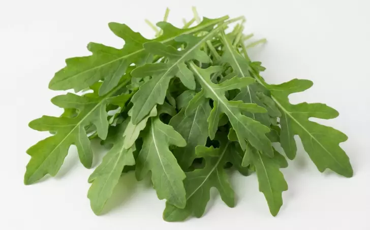 Rukola