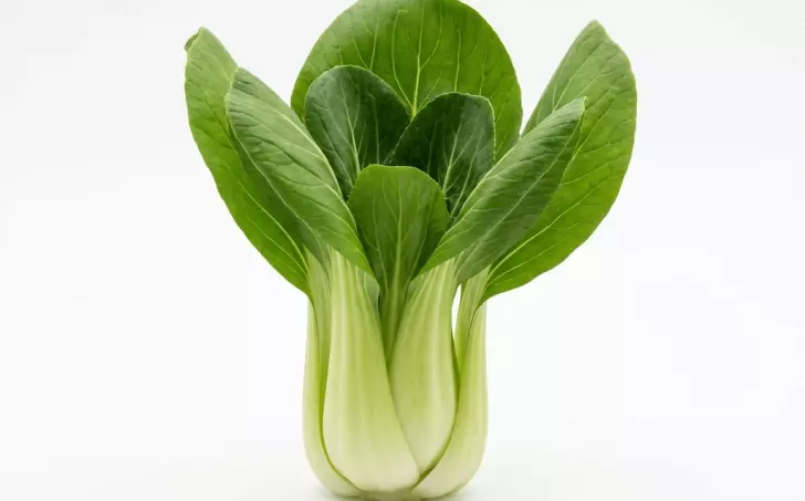 Pak choi, asijské zelí