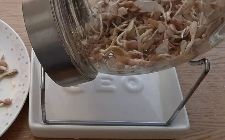 Cuketová směs jako příloha - LC