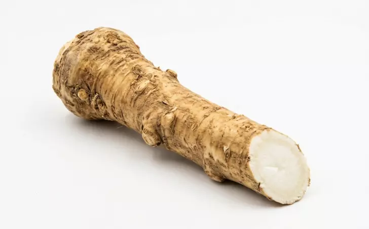 Křen selský, kořen
