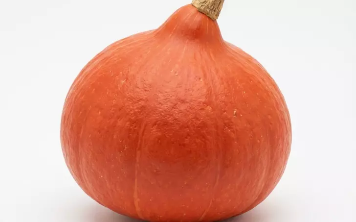 Dýně Hokkaido