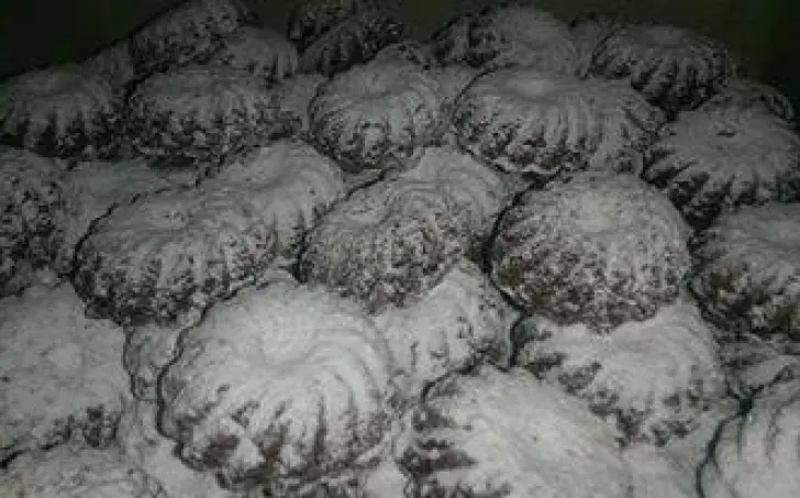 PRACNY