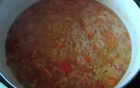 Cibuli, česnek a mrkev oloupejte a nakrájejte nadrobno. Rozpalte máslo a osmahněte vše dozlatova. Rajčata nakrájejte na menší kousky a přidejte k podušené cibuli a vařte cca 5 minut.
Pak vše zalijte vývarem, přisypte žlutou čočku a vařte 15-20 minut doměkka.
Kari pastou nebo kari kořením a solí dochuťte vývar. Nakonec přidejte zakysanou smetanu, kterou už nevaříte.
Posypte nakonec pažitkou a podávejte. Pečivo ani příloha není potřeba. Pokud to máte řídké, můžete trošku zahustit mletými ovesnými vločkami nebo celozrnnou moukou.
Já jsem pažitku neměla, tak je fotka bez pažitky.