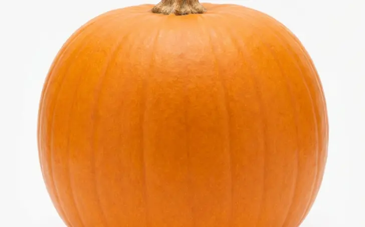 Dýně