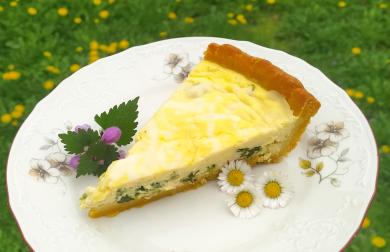 Quiche - LC