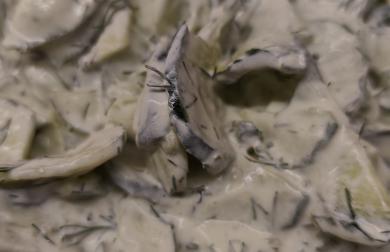 Mizérie - okurkovy salát na polský spusob