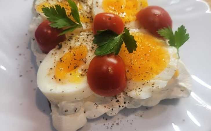 HOUSTIČKA S DOMÁCÍ LUČINOU A VEJCEM