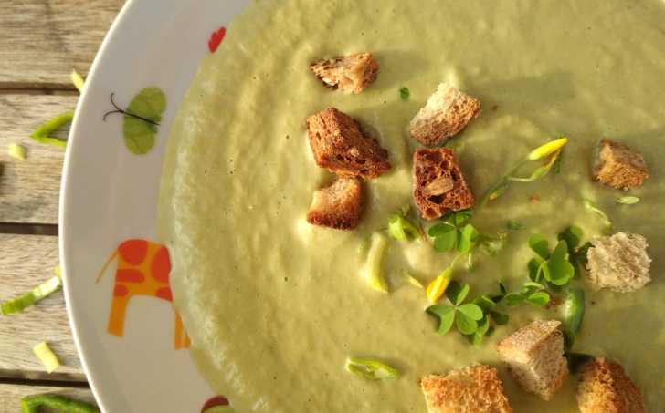 Krémová polévka ze zbylého salátu