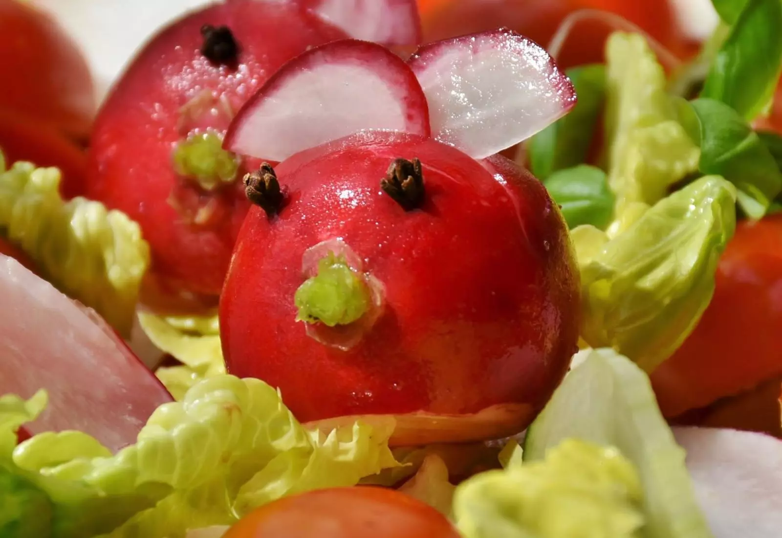 Zeleninový salát s krůtím masem