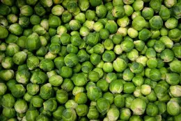 Zaostřeno na kapustu