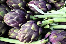 Právě v sezóně – artyčoky